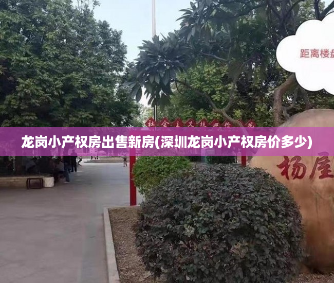 龙岗小产权房出售新房(深圳龙岗小产权房价多少) 龙岗小产权房出售新房(深圳龙岗小产权房价多少)