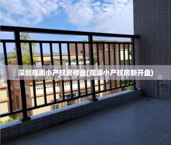 深圳观澜小产权房楼盘(观澜小产权房新开盘)