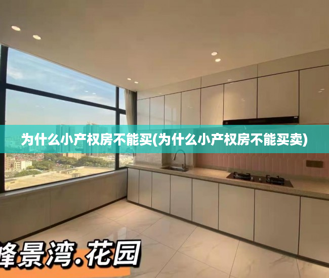 为什么小产权房不能买(为什么小产权房不能买卖) 为什么小产权房不能买(为什么小产权房不能买卖)