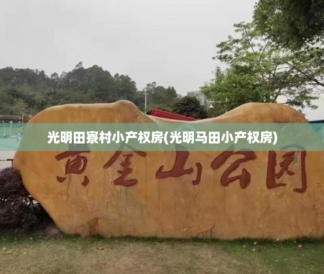 光明田寮村小产权房(光明马田小产权房)