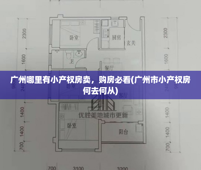 广州哪里有小产权房卖，购房必看(广州市小产权房何去何从)