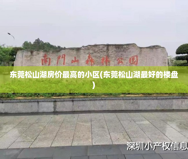 东莞松山湖房价最高的小区(东莞松山湖最好的楼盘) 东莞松山湖房价最高的小区(东莞松山湖最好的楼盘)