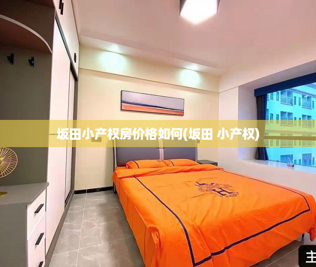 坂田小产权房价格如何(坂田 小产权)