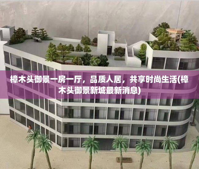 樟木头御景一房一厅，品质人居，共享时尚生活(樟木头御景新城最新消息)