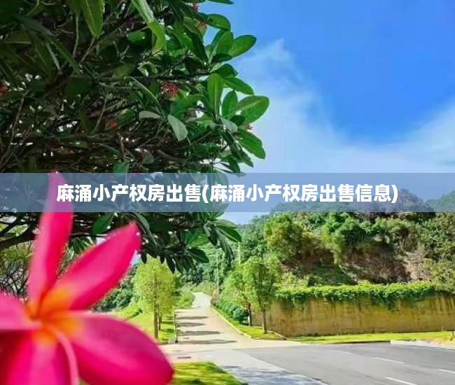 麻涌小产权房出售(麻涌小产权房出售信息) 麻涌小产权房出售(麻涌小产权房出售信息)