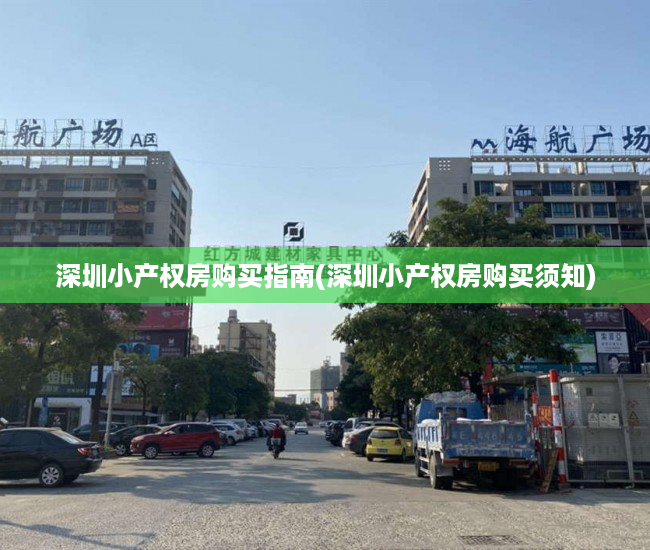 深圳小产权房购买指南(深圳小产权房购买须知)