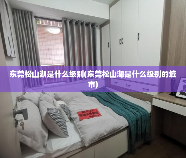 东莞松山湖是什么级别(东莞松山湖是什么级别的城市)