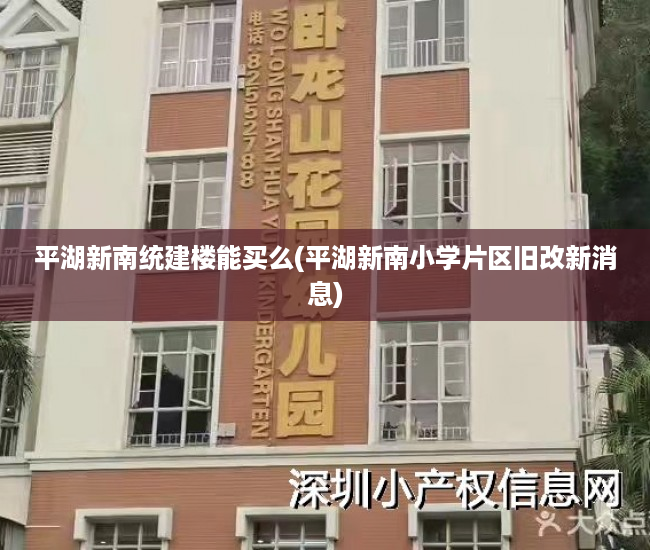 平湖新南统建楼能买么(平湖新南小学片区旧改新消息)