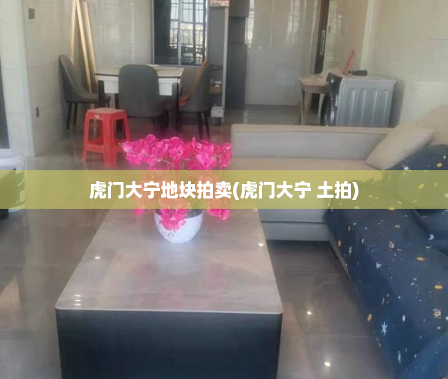 虎门大宁地块拍卖(虎门大宁 土拍) 虎门大宁地块拍卖(虎门大宁 土拍)