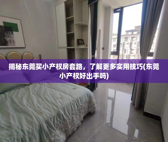 揭秘东莞买小产权房套路，了解更多实用技巧(东莞小产权好出手吗)