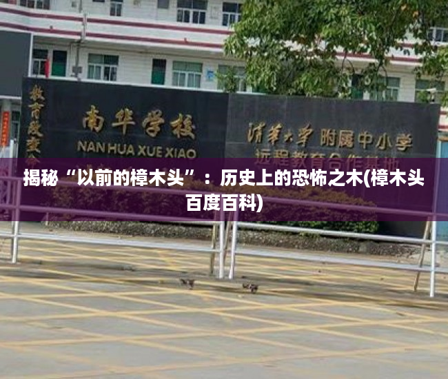 揭秘“以前的樟木头”：历史上的恐怖之木(樟木头百度百科)