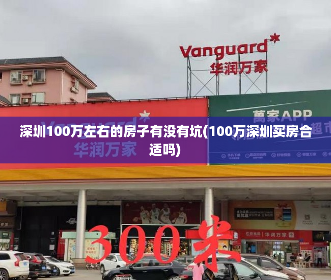 深圳100万左右的房子有没有坑(100万深圳买房合适吗)