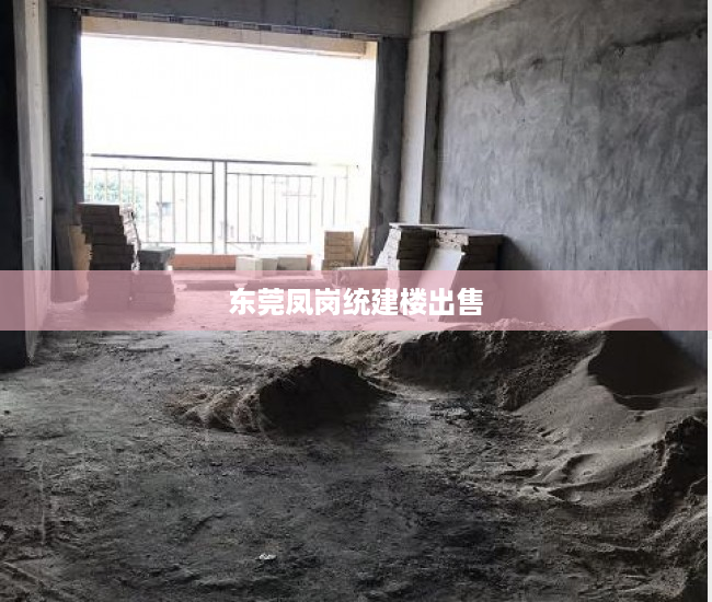 东莞凤岗统建楼出售 东莞凤岗统建楼出售