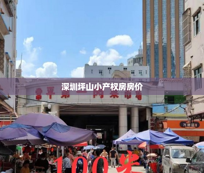 深圳坪山小产权房房价 深圳坪山小产权房房价