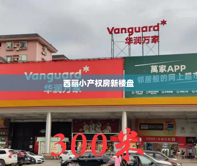 西丽小产权房新楼盘 西丽小产权房新楼盘