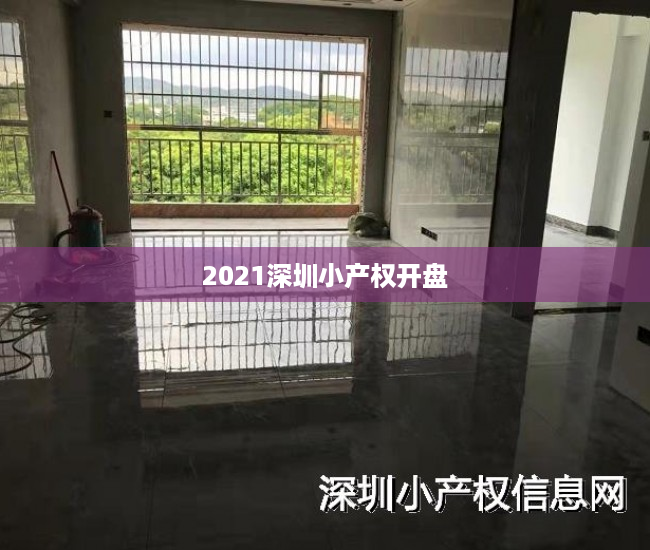 2021深圳小产权开盘