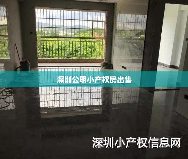 深圳公明小产权房出售 深圳公明小产权房出售