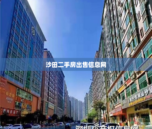 沙田二手房出售信息网 沙田二手房出售信息网