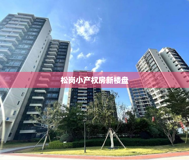 松岗小产权房新楼盘