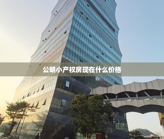 公明小产权房现在什么价格 公明小产权房现在什么价格