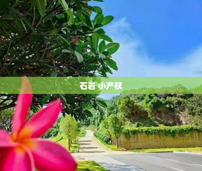 石岩 小产权 石岩 小产权