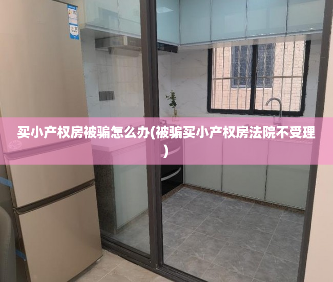 买小产权房被骗怎么办(被骗买小产权房法院不受理)
