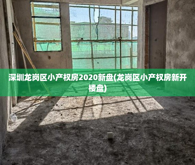 深圳龙岗区小产权房2020新盘(龙岗区小产权房新开楼盘)