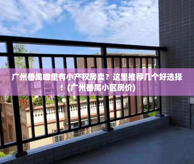 广州番禺哪里有小产权房卖？这里推荐几个好选择！(广州番禺小区房价)
