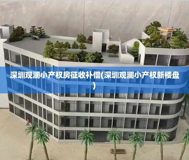 深圳观澜小产权房征收补偿(深圳观澜小产权新楼盘)