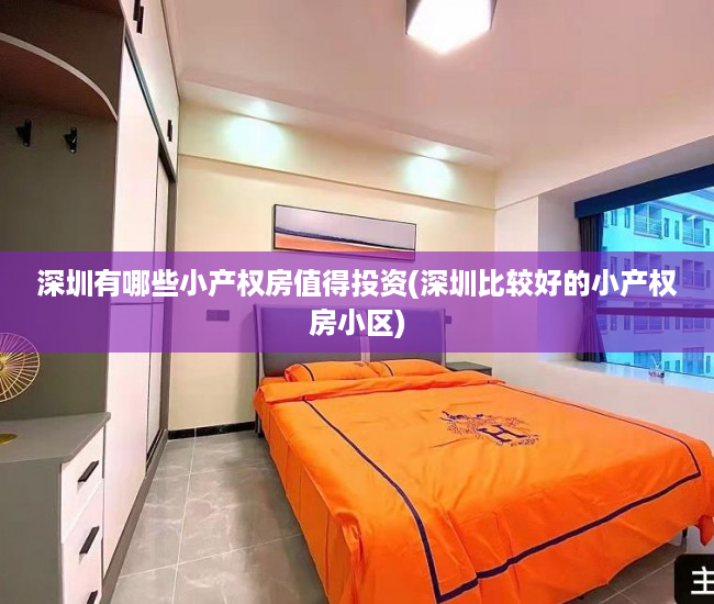 深圳有哪些小产权房值得投资(深圳比较好的小产权房小区)