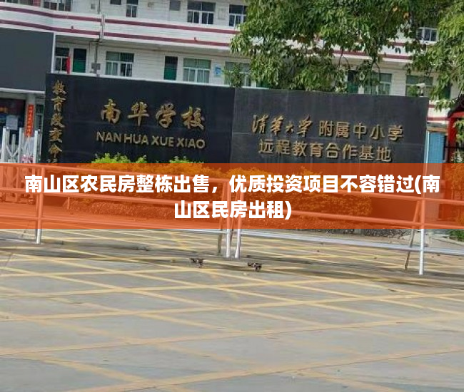 南山区农民房整栋出售，优质投资项目不容错过(南山区民房出租)