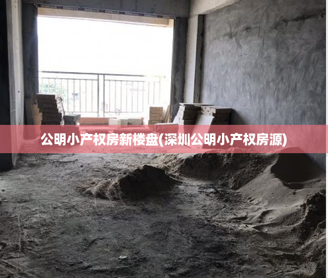 公明小产权房新楼盘(深圳公明小产权房源) 公明小产权房新楼盘(深圳公明小产权房源)