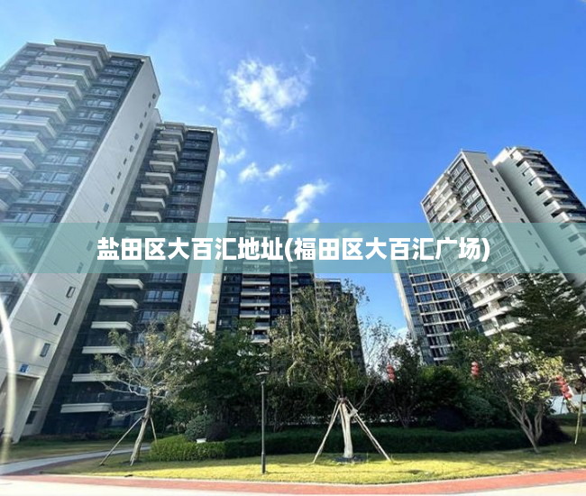 盐田区大百汇地址(福田区大百汇广场) 盐田区大百汇地址(福田区大百汇广场)