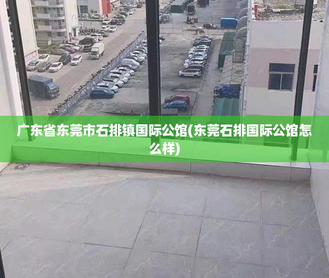 广东省东莞市石排镇国际公馆(东莞石排国际公馆怎么样)