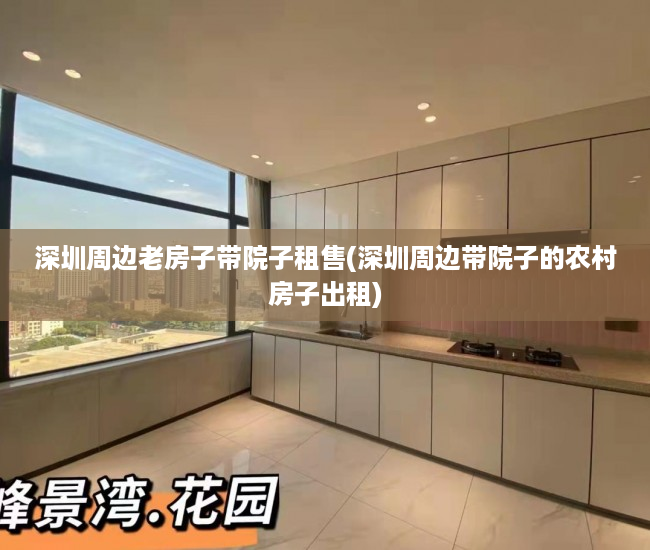 深圳周边老房子带院子租售(深圳周边带院子的农村房子出租)