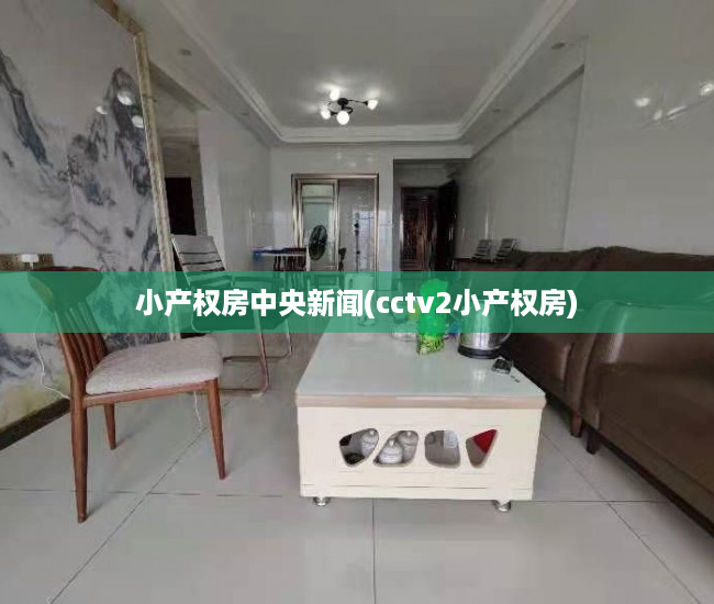 小产权房中央新闻(cctv2小产权房) 小产权房中央新闻(cctv2小产权房)