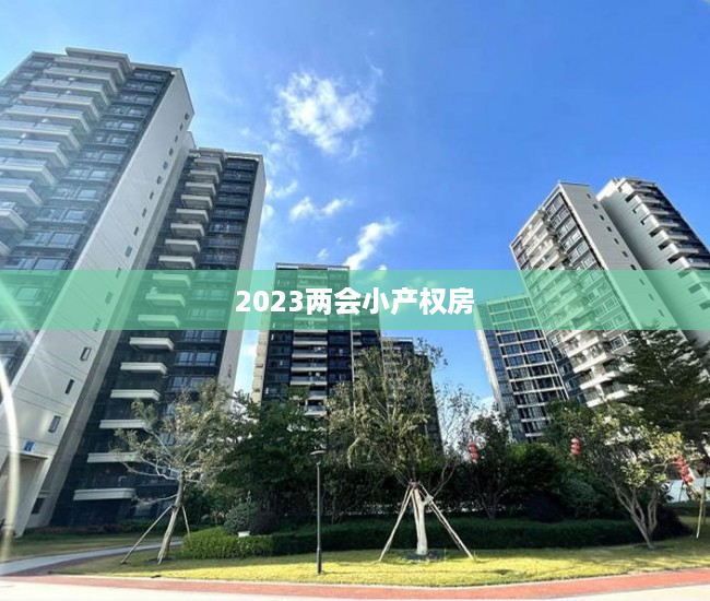 2023两会小产权房 2023两会小产权房