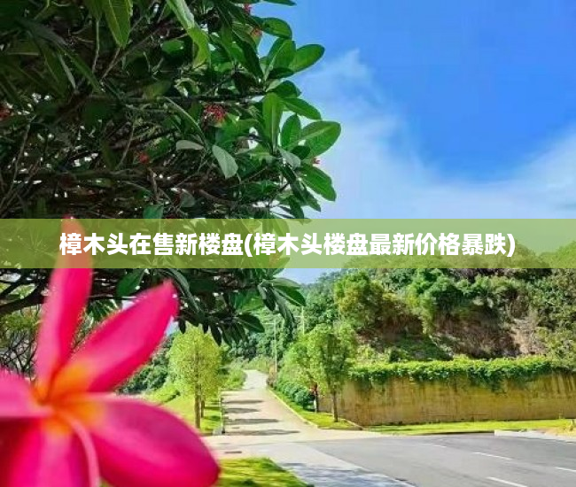 樟木头在售新楼盘(樟木头楼盘最新价格暴跌) 樟木头在售新楼盘(樟木头楼盘最新价格暴跌)