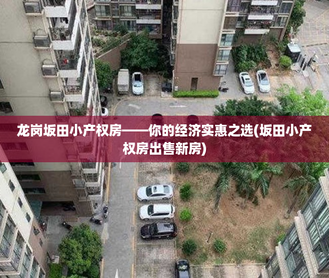 龙岗坂田小产权房——你的经济实惠之选(坂田小产权房出售新房)