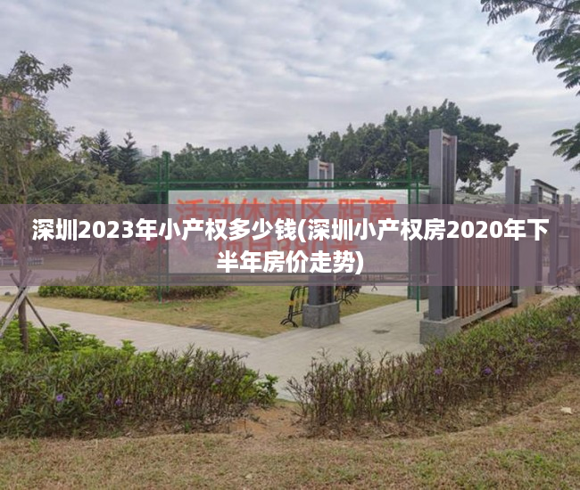 深圳2023年小产权多少钱(深圳小产权房2020年下半年房价走势)