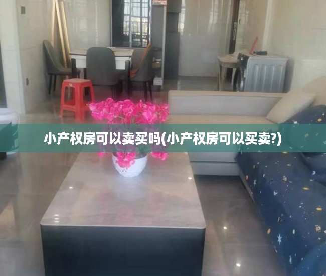 小产权房可以卖买吗(小产权房可以买卖?) 小产权房可以卖买吗(小产权房可以买卖?)