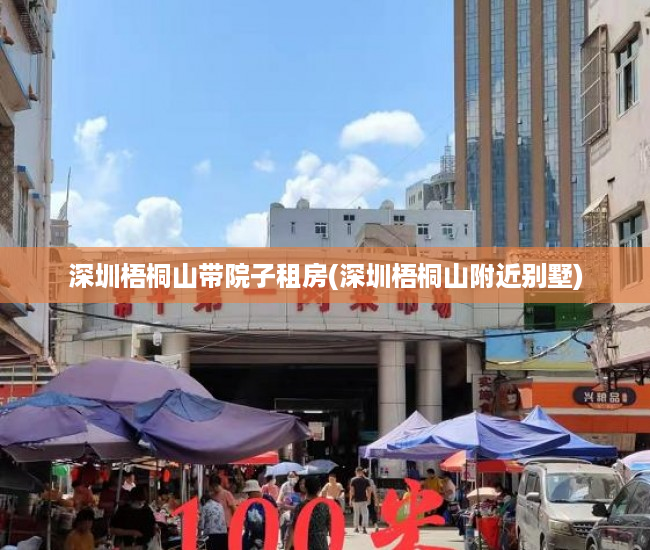 深圳梧桐山带院子租房(深圳梧桐山附近别墅)
