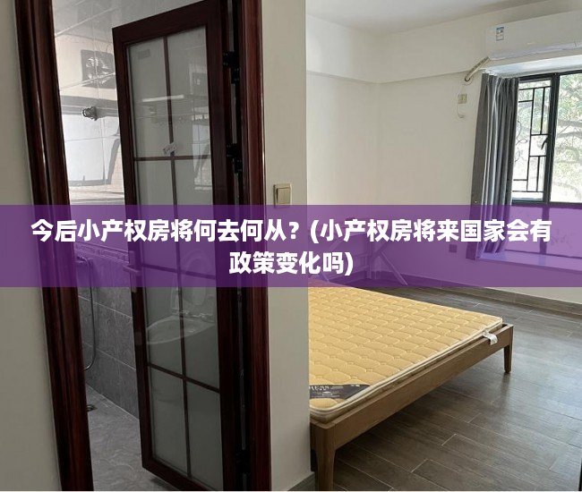 今后小产权房将何去何从？(小产权房将来国家会有政策变化吗)