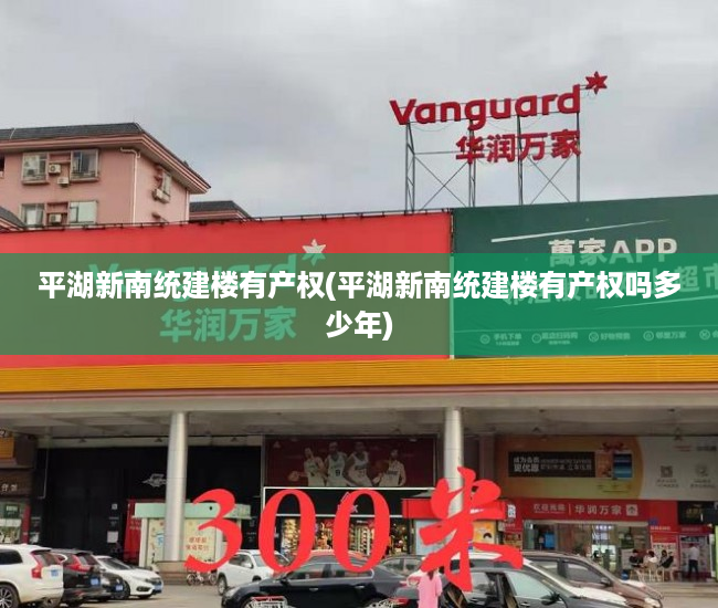 平湖新南统建楼有产权(平湖新南统建楼有产权吗多少年)