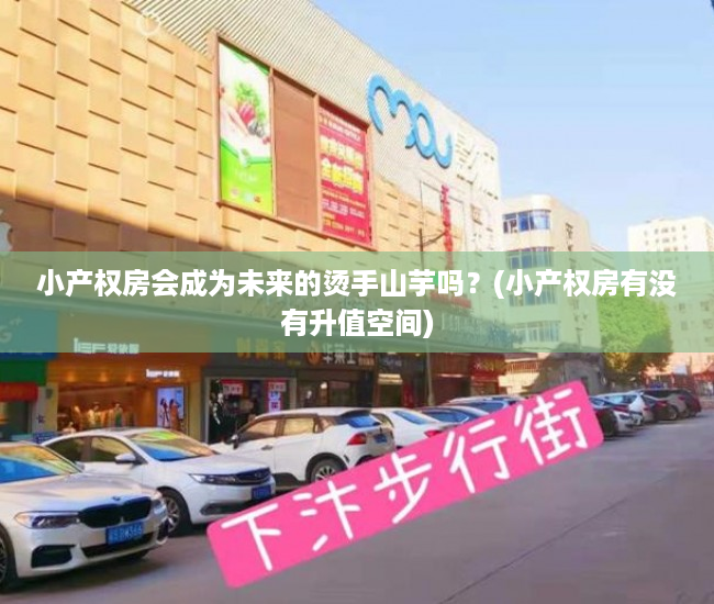 小产权房会成为未来的烫手山芋吗？(小产权房有没有升值空间)