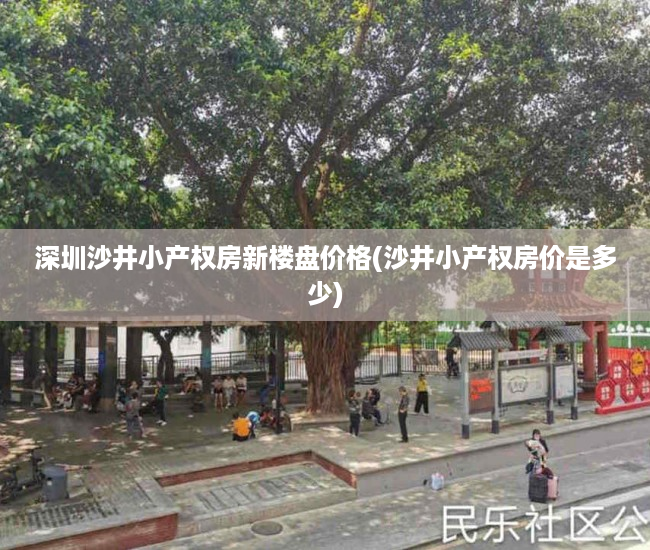 深圳沙井小产权房新楼盘价格(沙井小产权房价是多少)