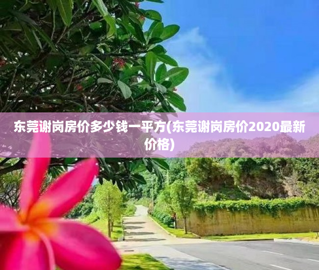 东莞谢岗房价多少钱一平方(东莞谢岗房价2020最新价格) 东莞谢岗房价多少钱一平方(东莞谢岗房价2020最新价格)