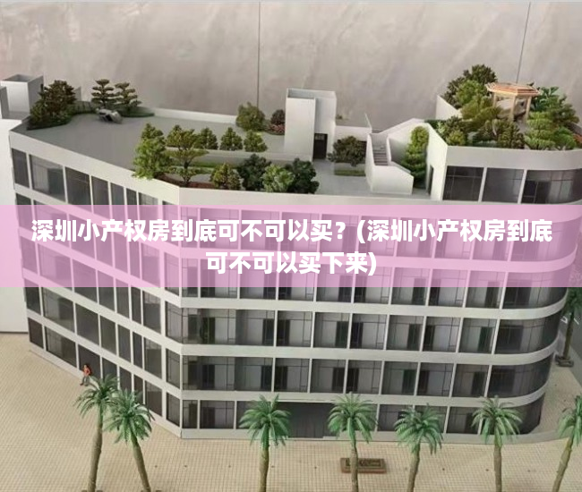 深圳小产权房到底可不可以买？(深圳小产权房到底可不可以买下来)