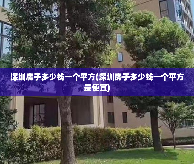 深圳房子多少钱一个平方(深圳房子多少钱一个平方最便宜)