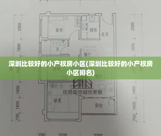 深圳比较好的小产权房小区(深圳比较好的小产权房小区排名) 深圳比较好的小产权房小区(深圳比较好的小产权房小区排名)